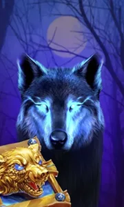 Book Of The Night Wolf