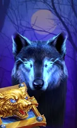 Book Of The Night Wolf